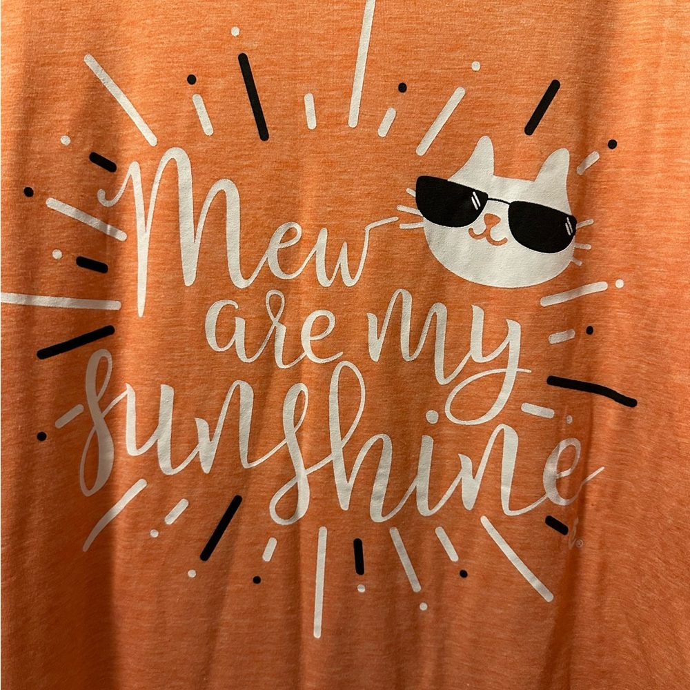 Catlady Box T-Shirt / mew are my sunshine